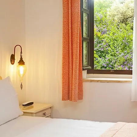 Tas Konak Eski 达特恰
